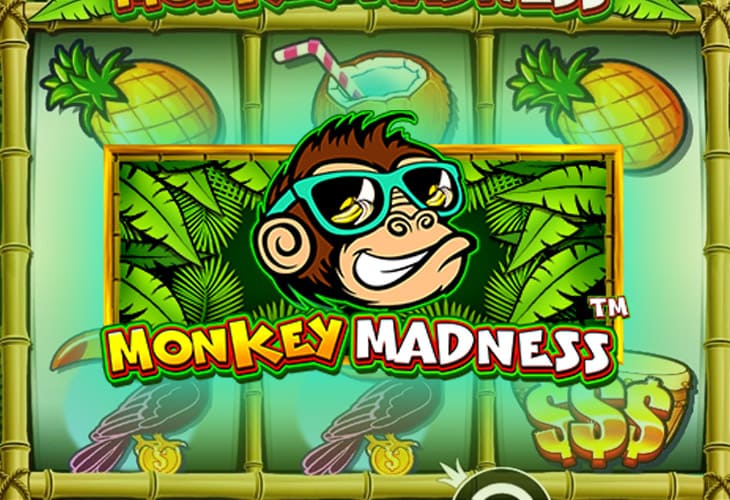 Monkey Madness - Pragmatic Play slot at Vulkan Vegas Kasino Casino